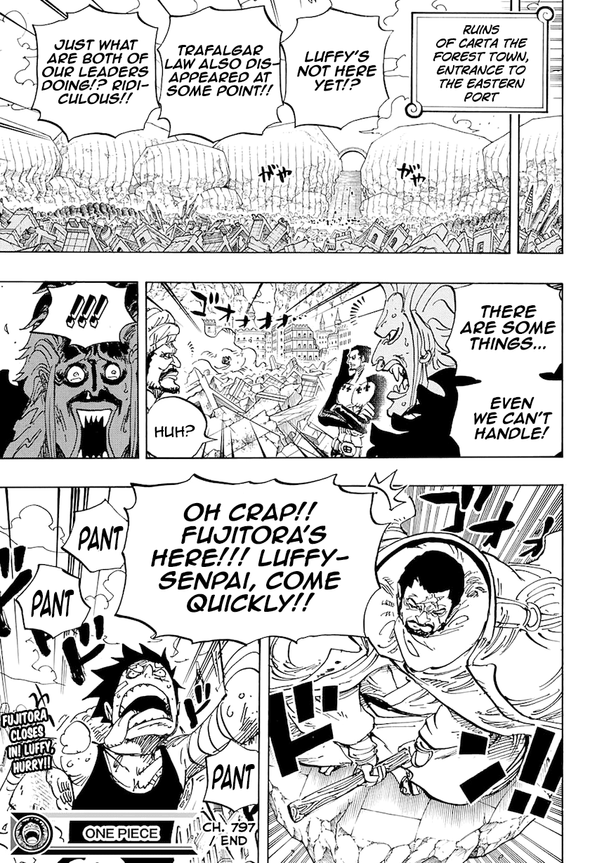 One Piece, Chapter 797 image 18